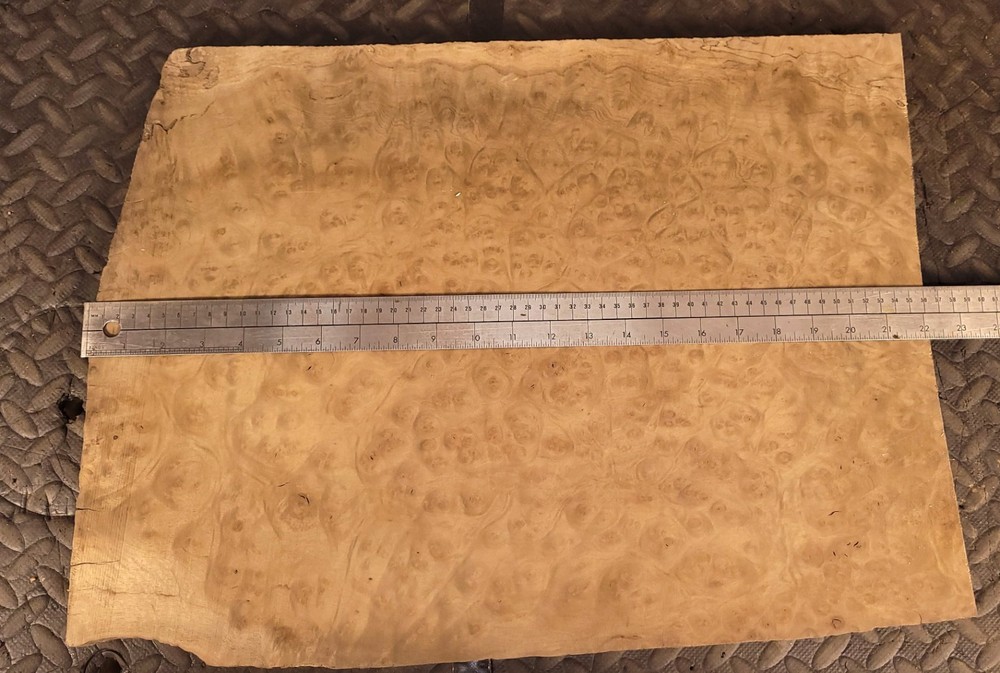 True Master Grade One Piece Maple Burl Thick Drop Top