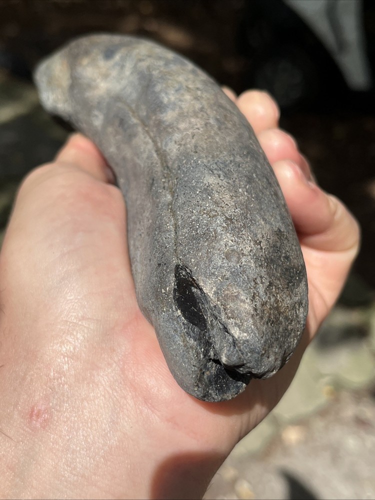 Very Rare Solid Unknown Fossil Segment-Not Modern-read description