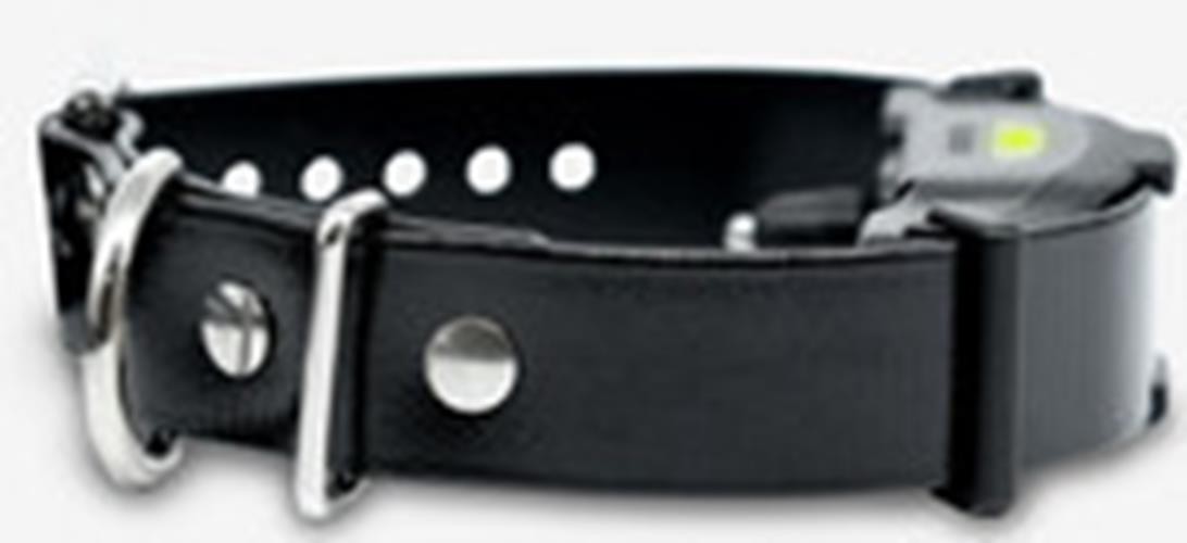 Dogtra ARC-X Ergonomic Dog Remote Training Collar 3/4 Mi, Boost & XPP Vibration