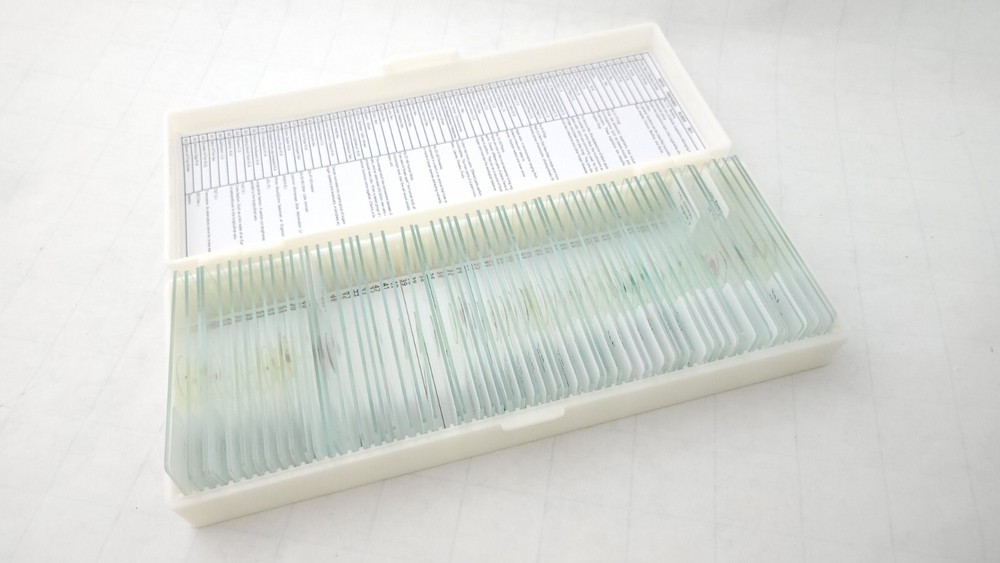 60 Microscope Slides with Specimens, Prepared Microscope Slides (59 only)