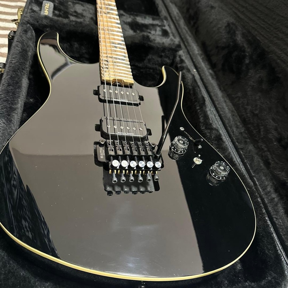 Futra/Mr. Nishio collaboration model, many customizations