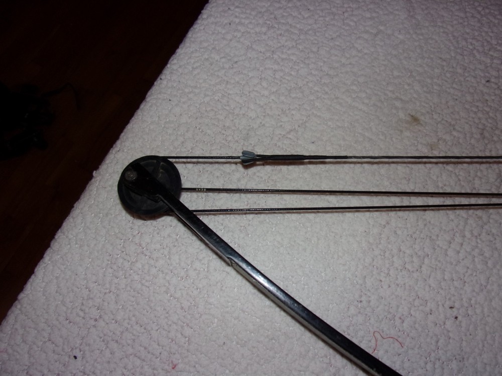 Bear Archery Compound Bow