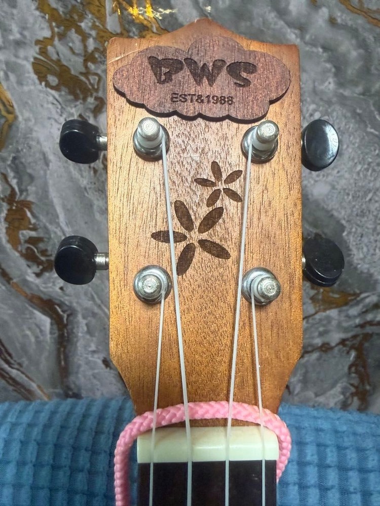 concert ukulele with case