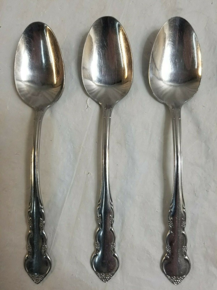 14 Piece EKOO ETERNA Stainless Flatware Set Lot # 12