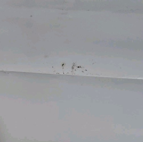 Vintage 1983 Richard Pryor Here and Now Original Promotional Comedy Poster