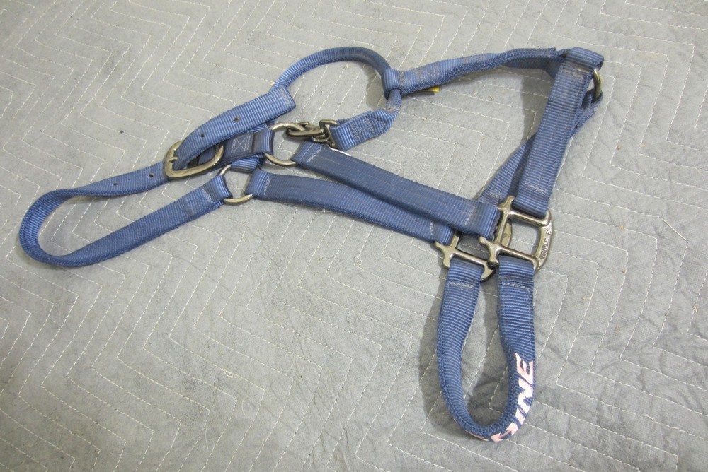 Triple E 1" Nylon Adjustable Horse Halter w/Silver Hardware Dark Blue Sunshine
