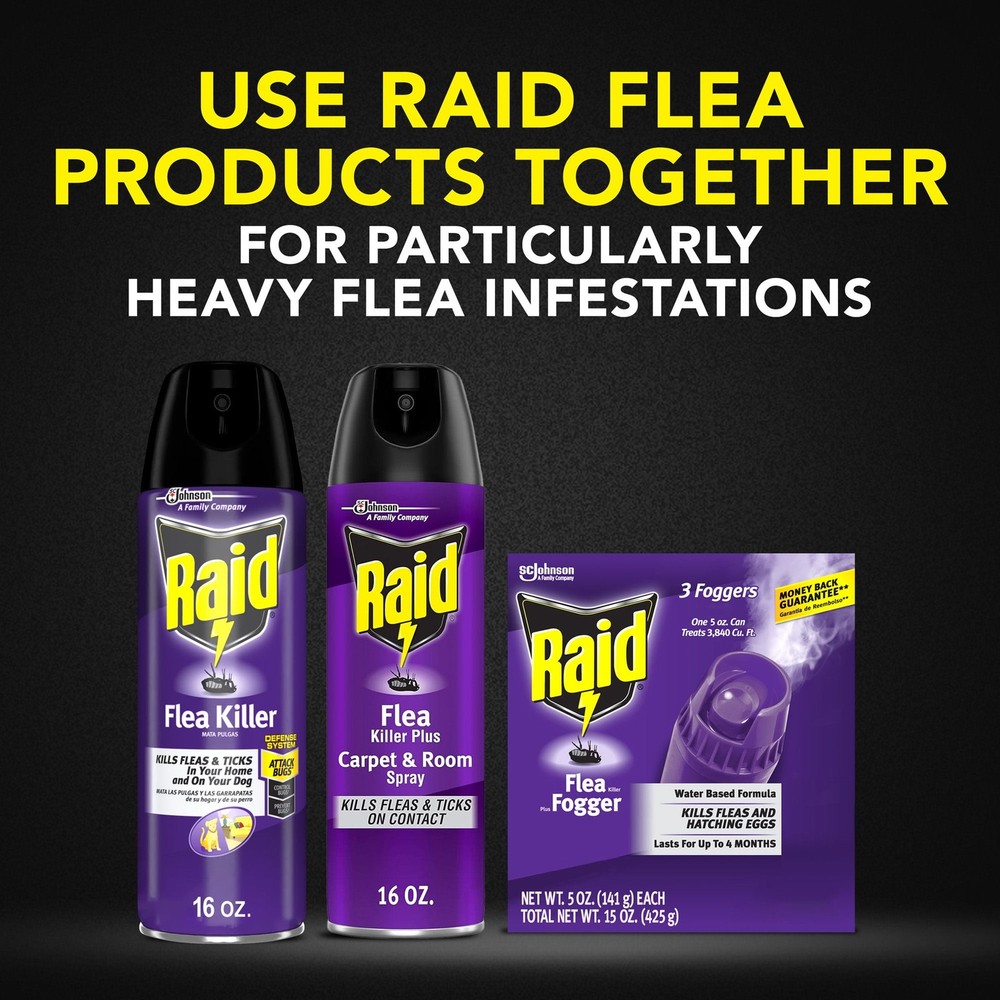 Raid Flea Killer 16oz Spray - Kills Fleas & Eggs Carpet/Room