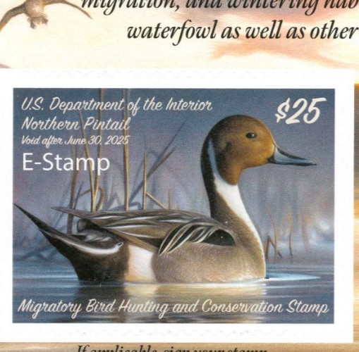 RW91B 2024 - E STAMP Federal Duck Stamp Similar to RW91A SCARCE MINT NH