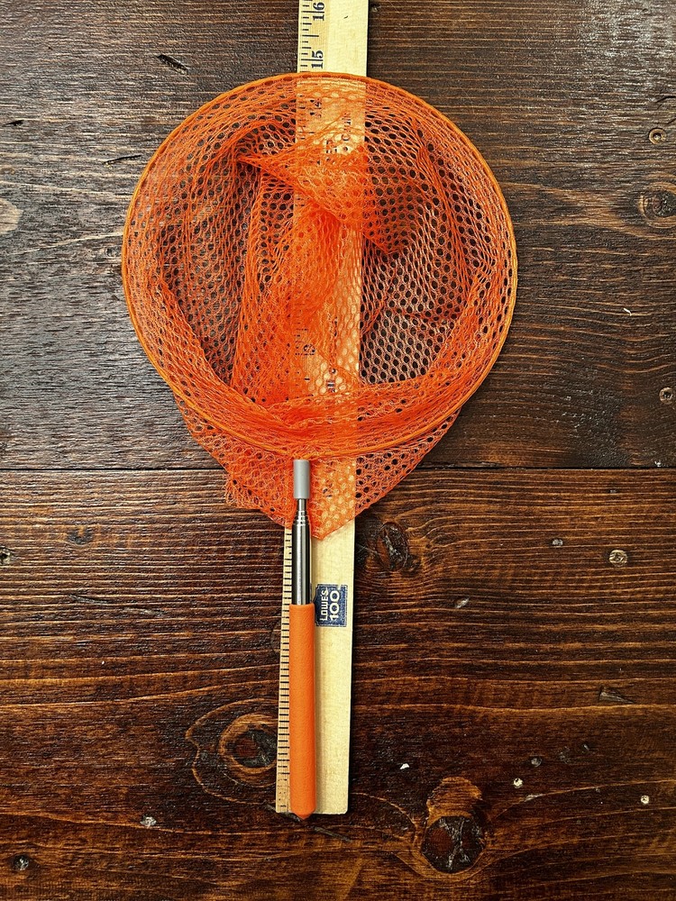 Bird Net, Free Shipping