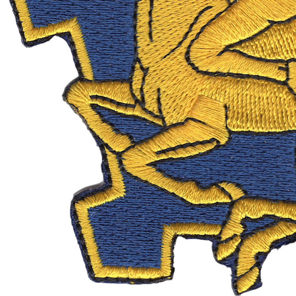 9th Cavalry Regiment Patch
