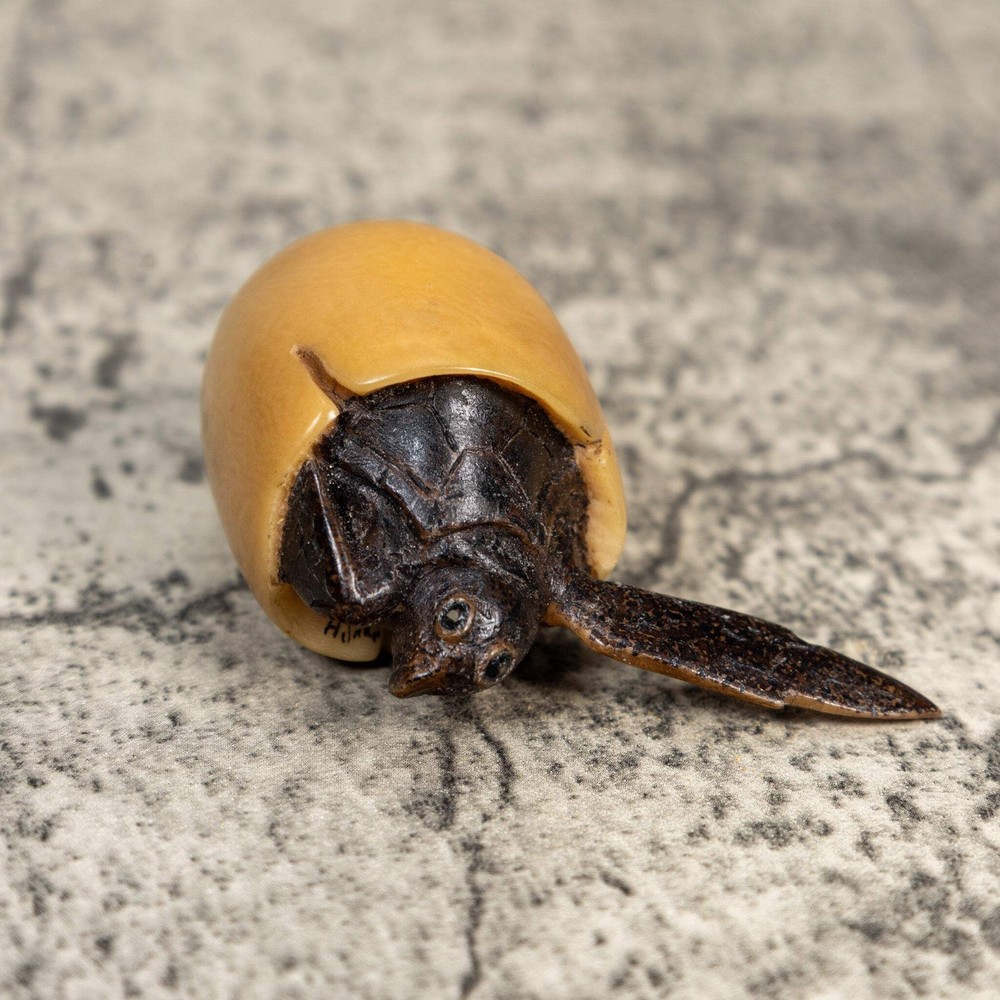 Sea Turtle Emerging From Egg Tagua Carving