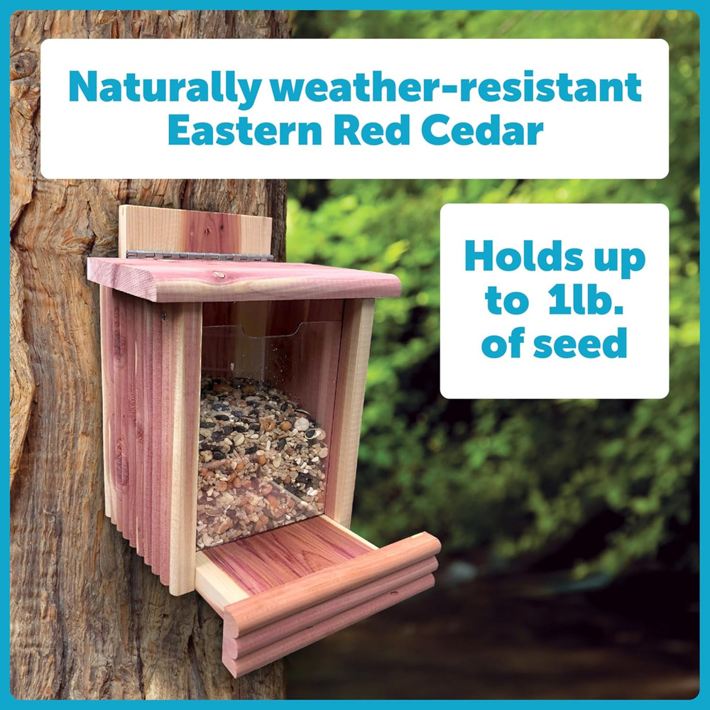 Cedar Squirrel Snacker Feeder, 2.75 LB Capacity