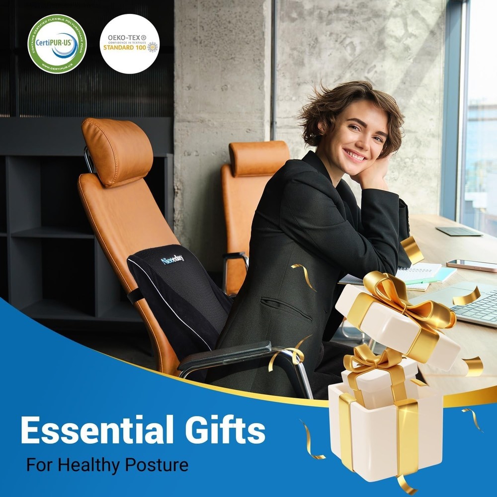 Lumbar Support Pillow for Office Chair Car...