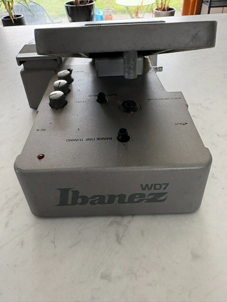 Ibanez Weeping Demon