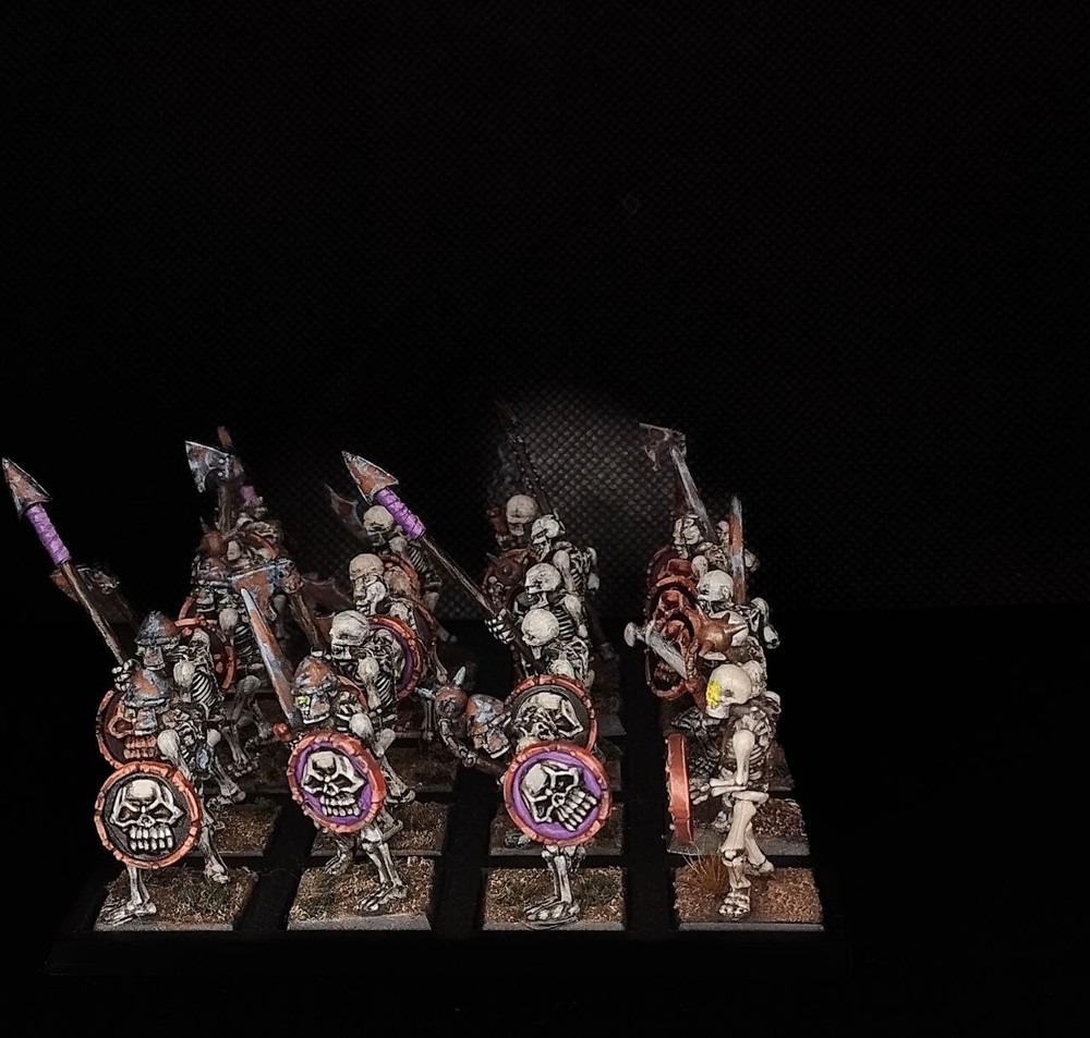 Warhammer The Old World - Vampire Counts - Skeletons - Painted -Games Workshop