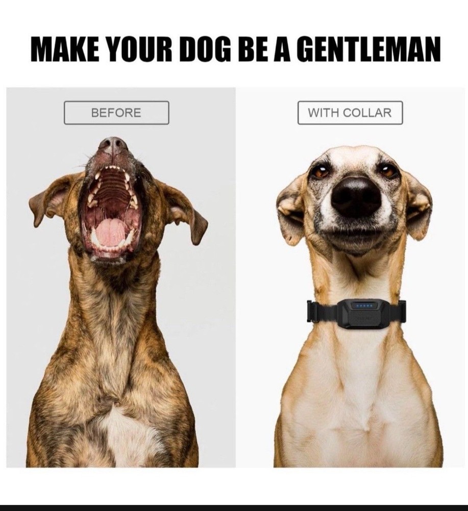 Waterproof Dog Bark Collar