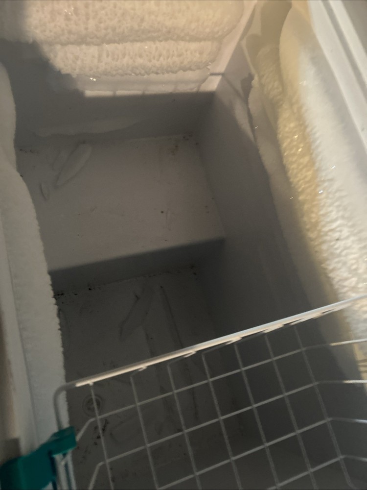 Frigidaire Gallery Deep Freeze Chest Type Freezer