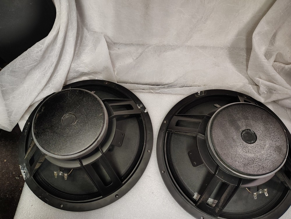 EAP-15D speaker woofers, one pair