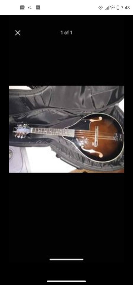 mandolin guitar