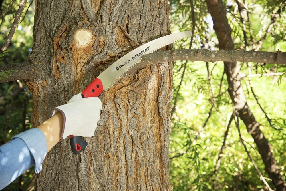 Tools 14-Inch RazorTOOTH Pruning Saw | Tree Saw Designed for Single-Hand Use ...