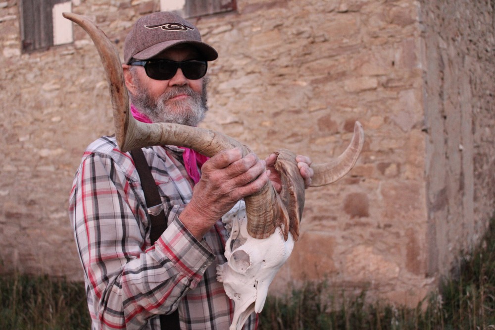 Goat Head Skull Horns