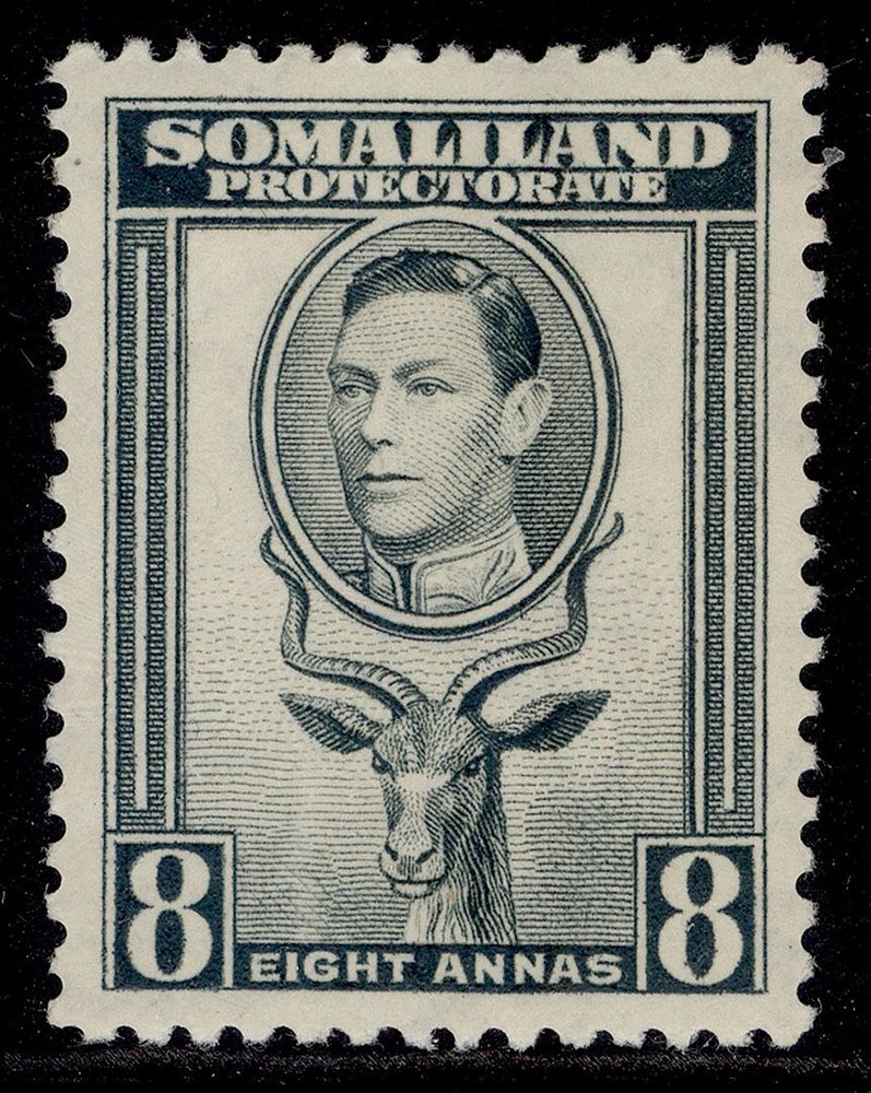 SOMALILAND PROTECTORATE GVI SG99, 8a grey, M MINT.