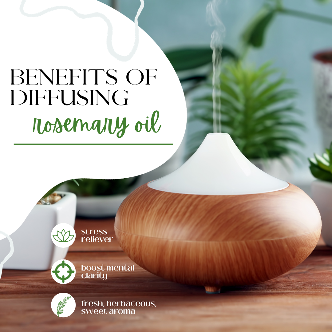 Rosemary Essential Oil 100% Pure Many Sizes FreeShip