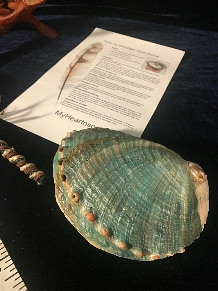 COMPLETE SMUDGE KIT ABALONE SHELL STAND SAGE FEATHER ENERGY CLEANSING CLEARING