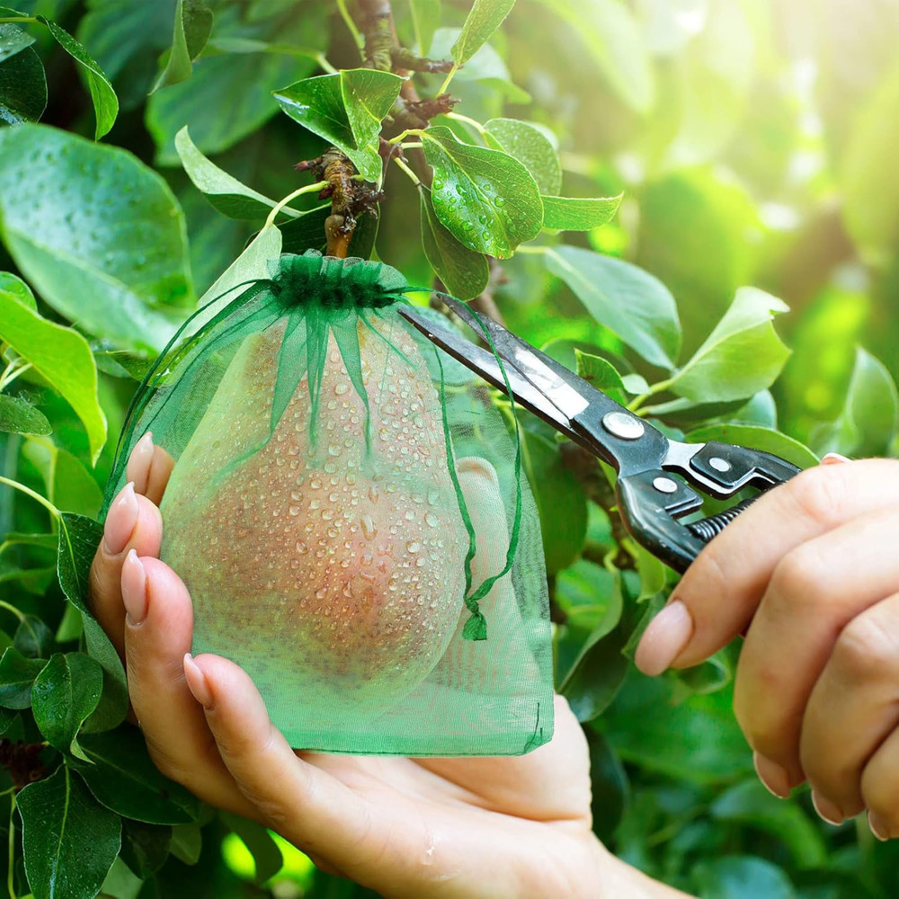 100 bolsas protectoras para frutas