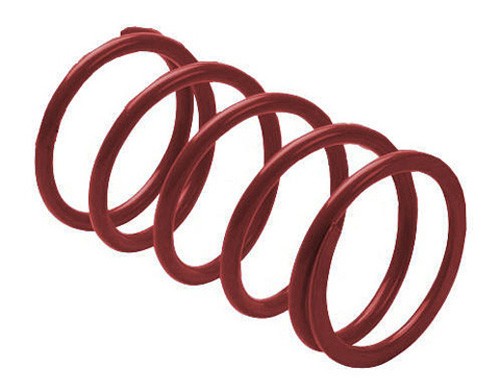 EPI Clutch Spring Maroon KSS7