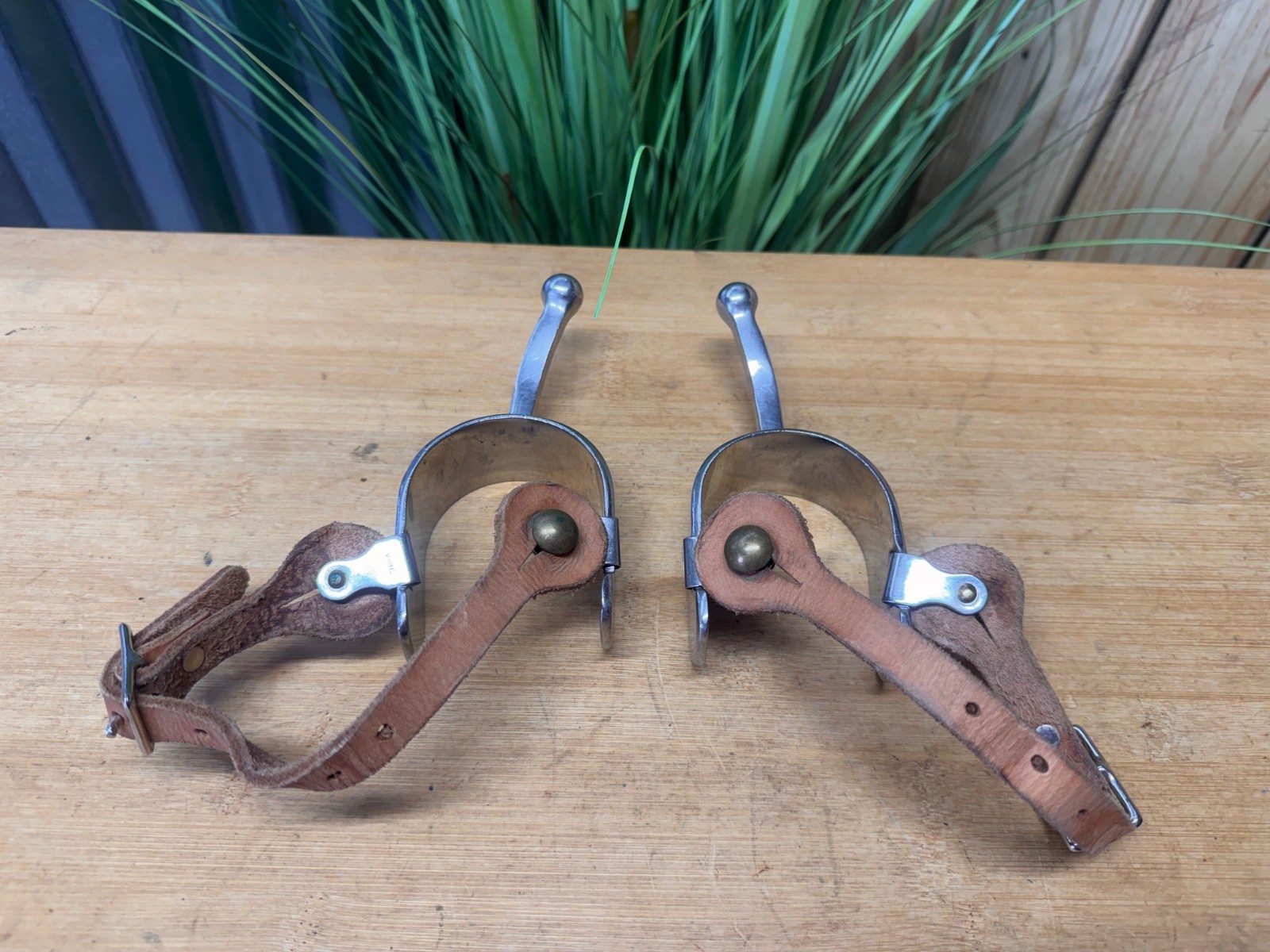 Ladies Long Shank Stainless Steel BALL END Western Spurs w Leather Straps