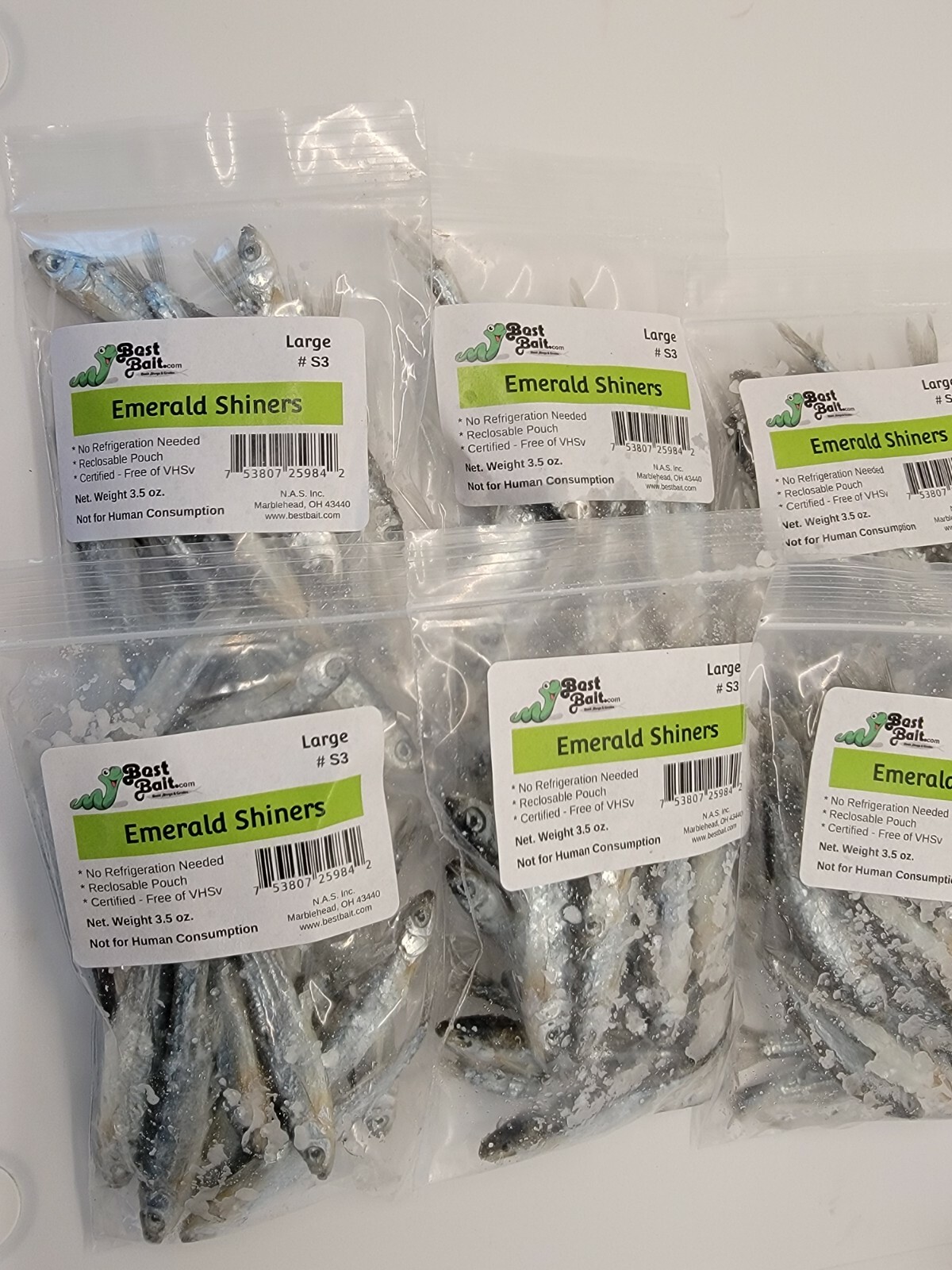 Bestbait Salted Emerald Shiners Preserved Minnows Free Shipping VHSv Free