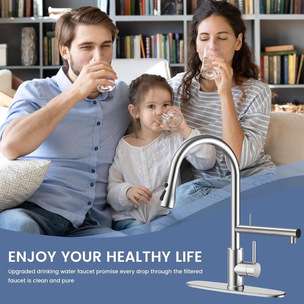 Filter Water Kitchen Faucet with Pull Down Sprayer, Brushed Nickel Stainless