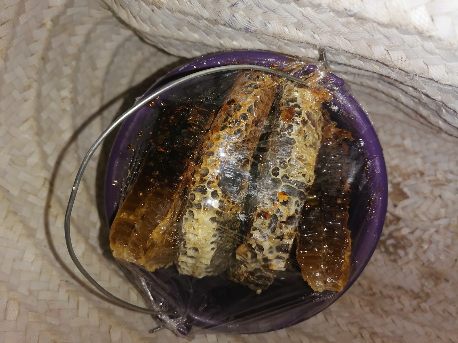 Moroccan natural bee honey