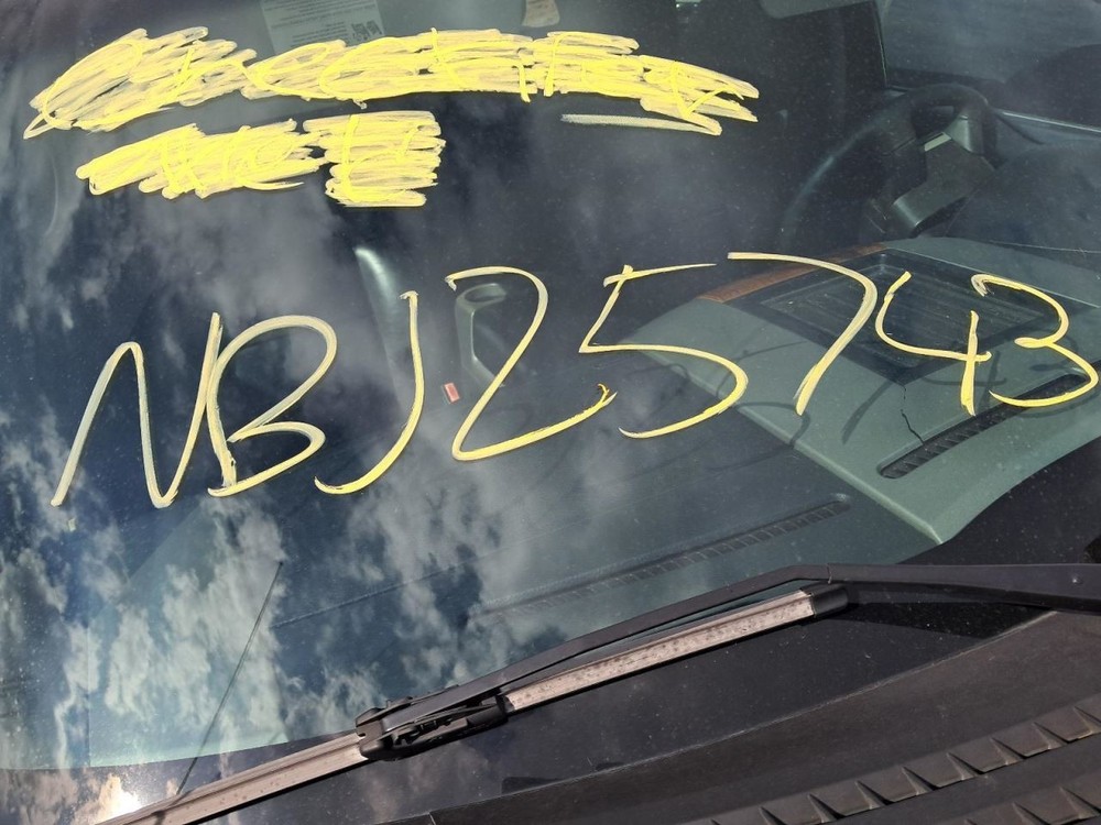 F150 2006 Glove Box 4821964