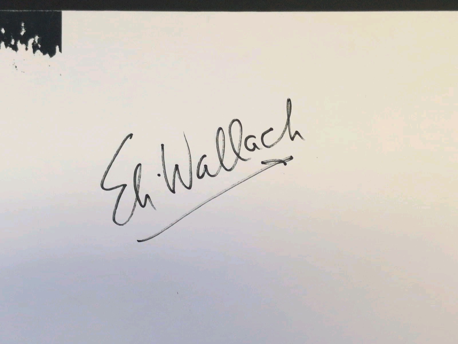 Eli Wallach Signed Visiting Mr Green Broadway Theater Matted Play Poster 15 X 20