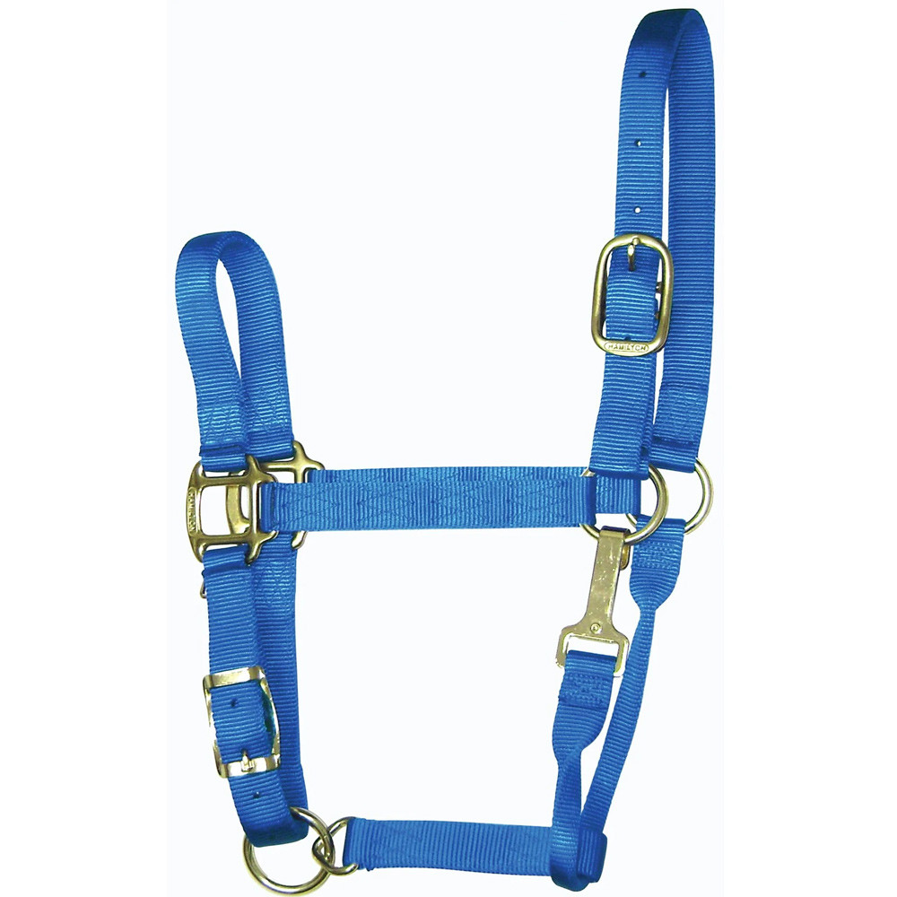 Hamilton Quality 1" Nylon Adjustable Halter With Snap
