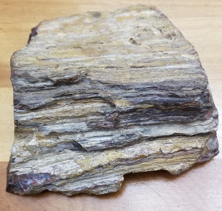 PETRIFIED WOOD 1.10 LBS