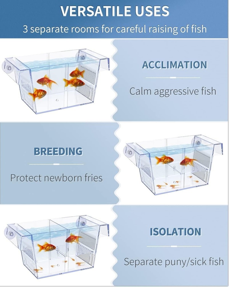 Space-Saving Acrylic Fish Breeding Box with Removable Separators & Suction Cups