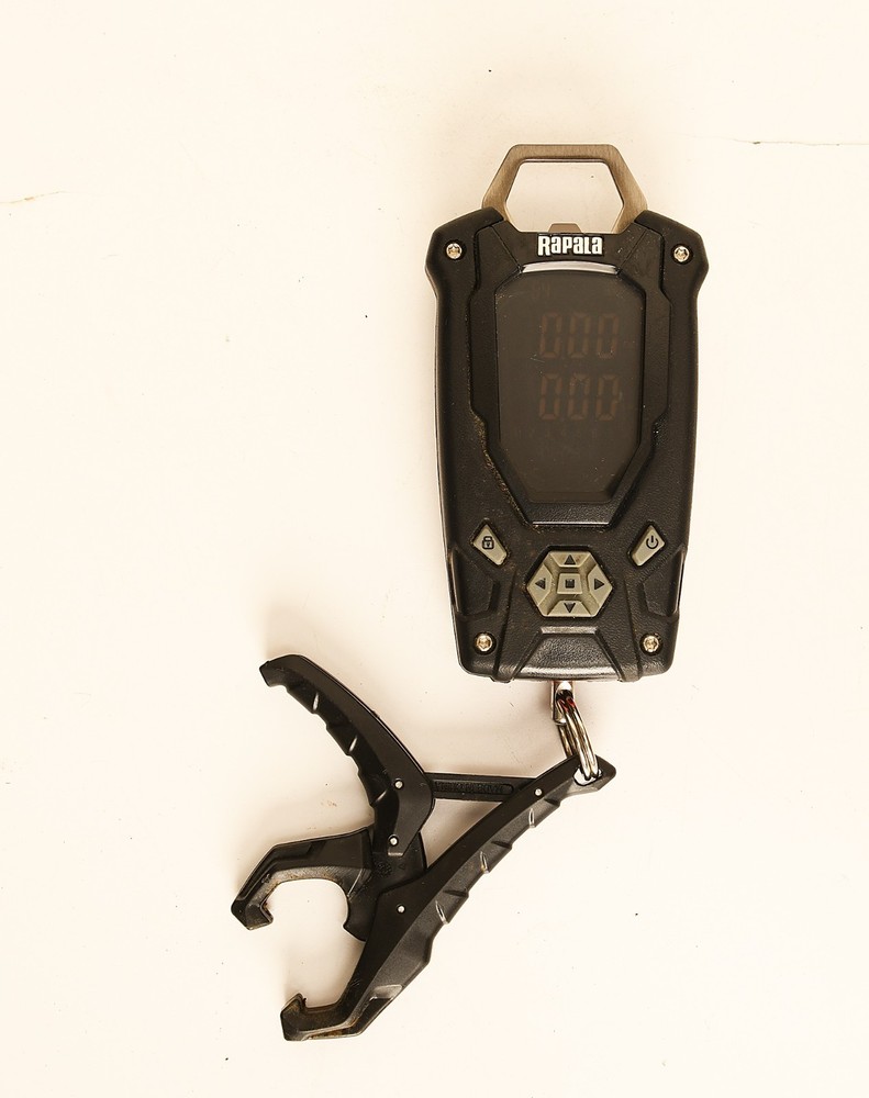 Rapala High Contrast Digital Fish Scale - Nice