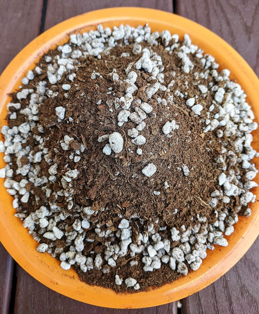 Orchid Potting Soil Mix (3 Cups / 1 Quart)
