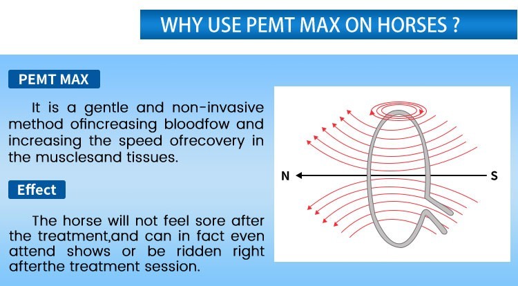 Hot US Warehouse EMTT PEMF PMST Loop Magnetic Therapy Machine Ship Fast
