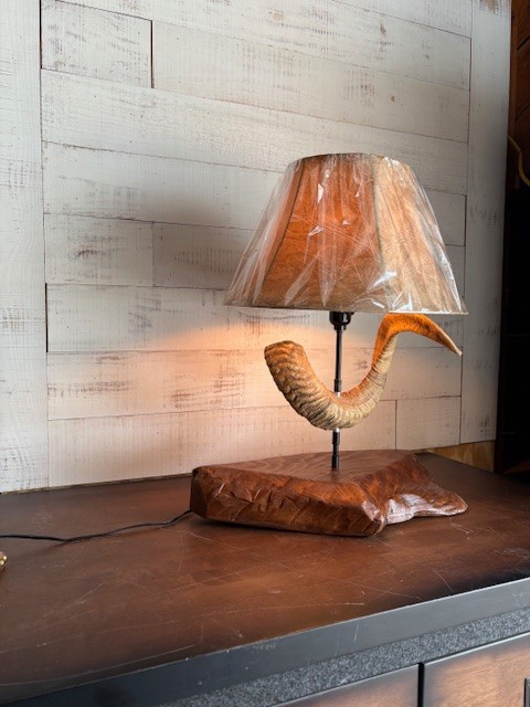 Dall sheep horn Table lamp