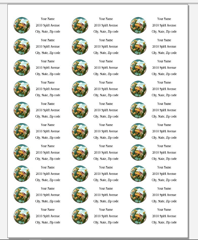 150 Beautiful Cactus Desert Scene Mailing Return Address Labels Personalized