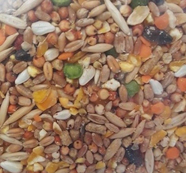 Chicken Game Bird Feed GRAIN Rooster SCRATCH W/HEALTHY OMEGAs **Choose size**
