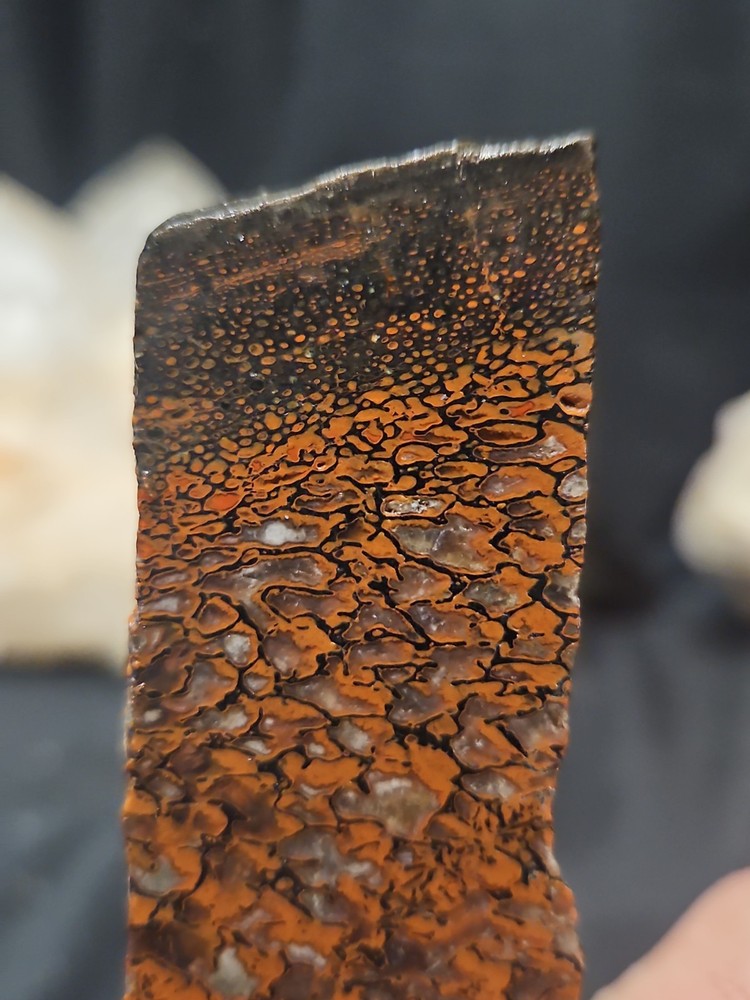 Gem Bone W/ Crystallization Slab Specimen (51.9 Grams)