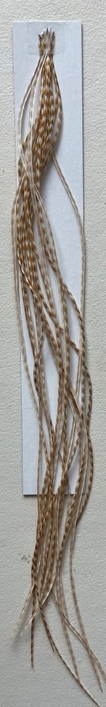 Whiting Barred Ginger Hackle Pack 100 #16-20