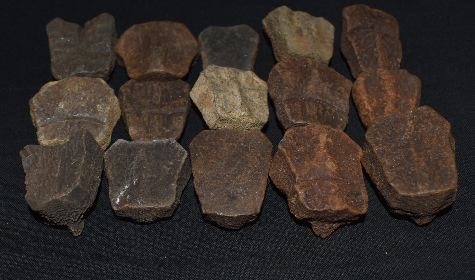 Set of Fifteen Fossil Turtle Shell Elements (top shell pieces) - Turtle Fossils