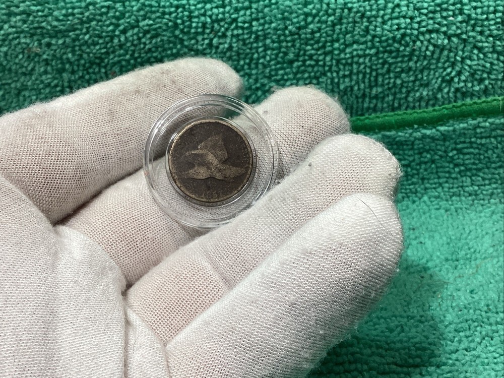 1857 FLYING EAGLE 🦅 PENNY THE 1st SMALL CENT SERIES DECENT REVERSE🤓