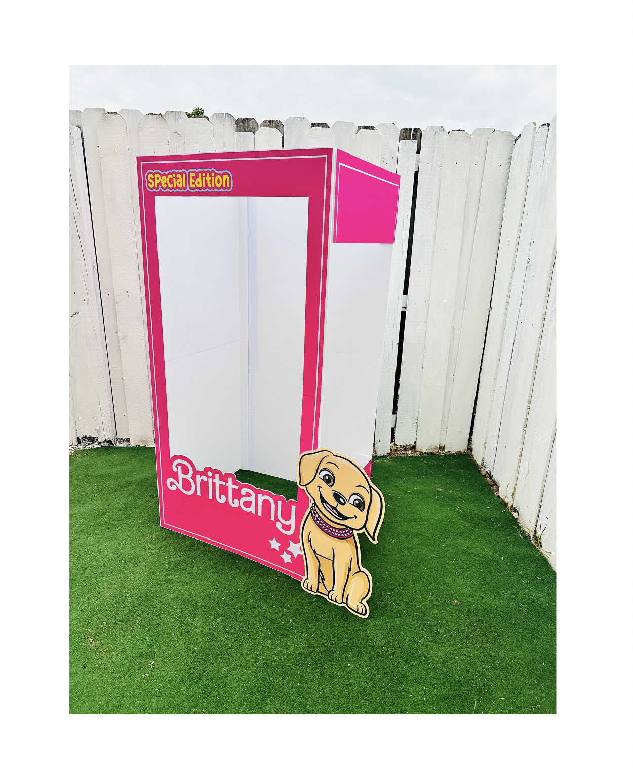 Doll photo booth, popular pink doll, birthday girls, barbie inspiration